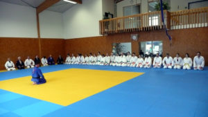 Ju-Jutsu Techniklehrgang